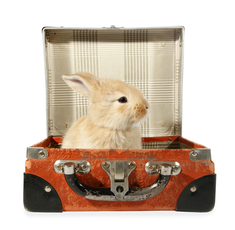 moving services boxes